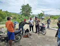 Hamzary Pimpin Perburuan di Desa Pamboborang